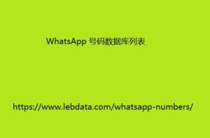 WhatsApp 号码数据库列表