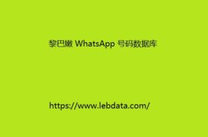 黎巴嫩 WhatsApp 号码数据库