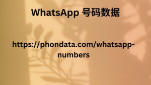 WhatsApp 号码数据 