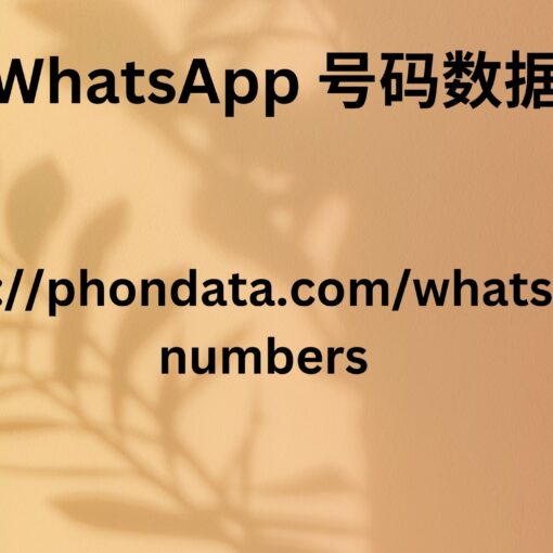 WhatsApp 号码数据