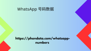 WhatsApp 号码数据