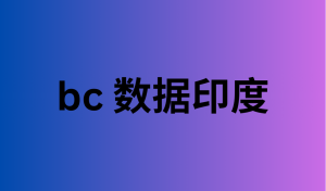 bc 数据印度 