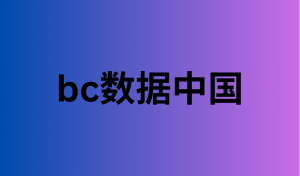 bc数据中国 